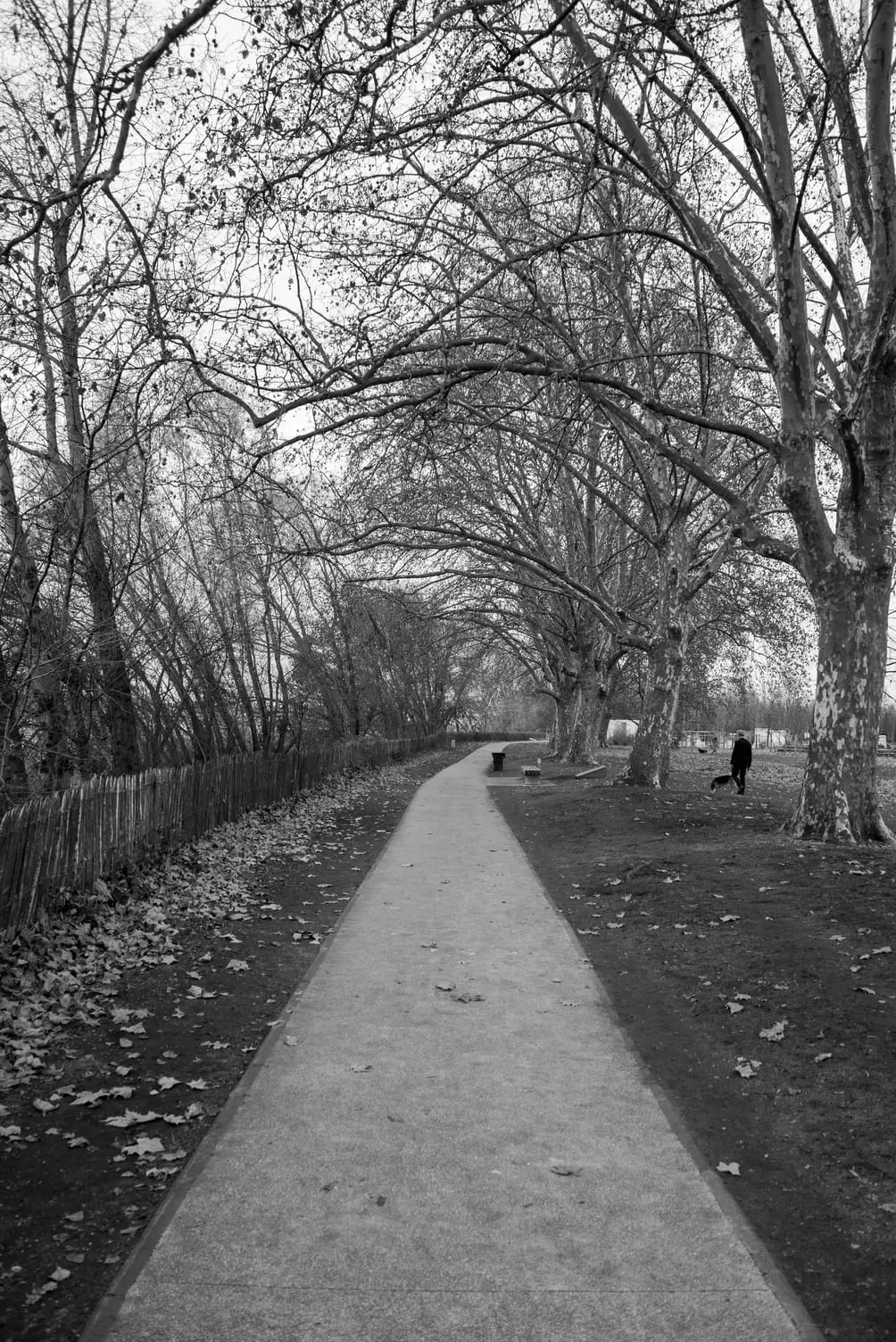 Photo-Bordeaux-04 Stéphane Grimal Photographe Bordeaux