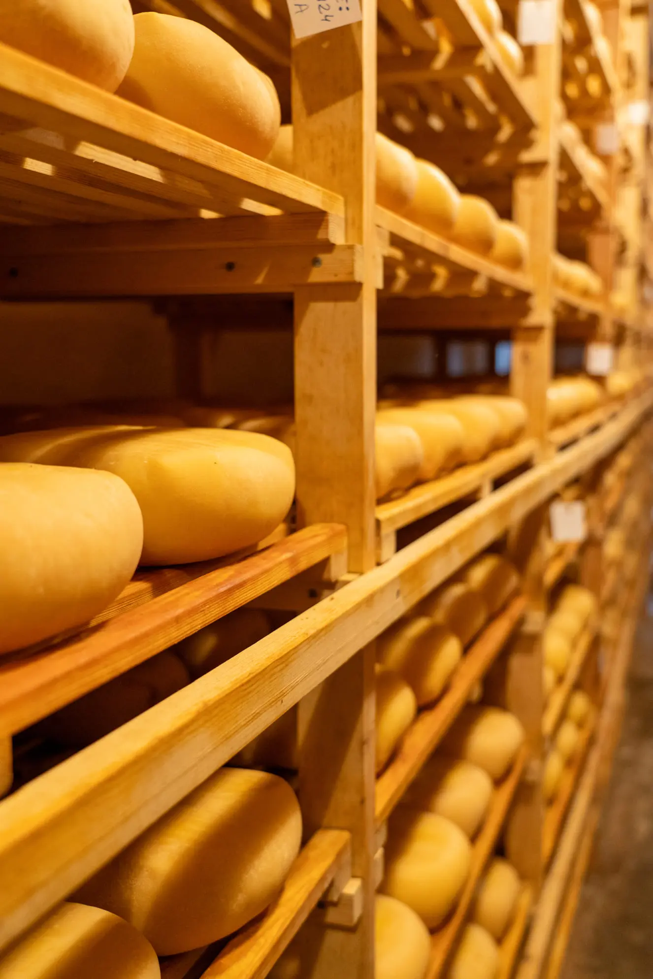 Photo-Découverte-Minorque-08 Stéphane Grimal Photographe voyage Minorque