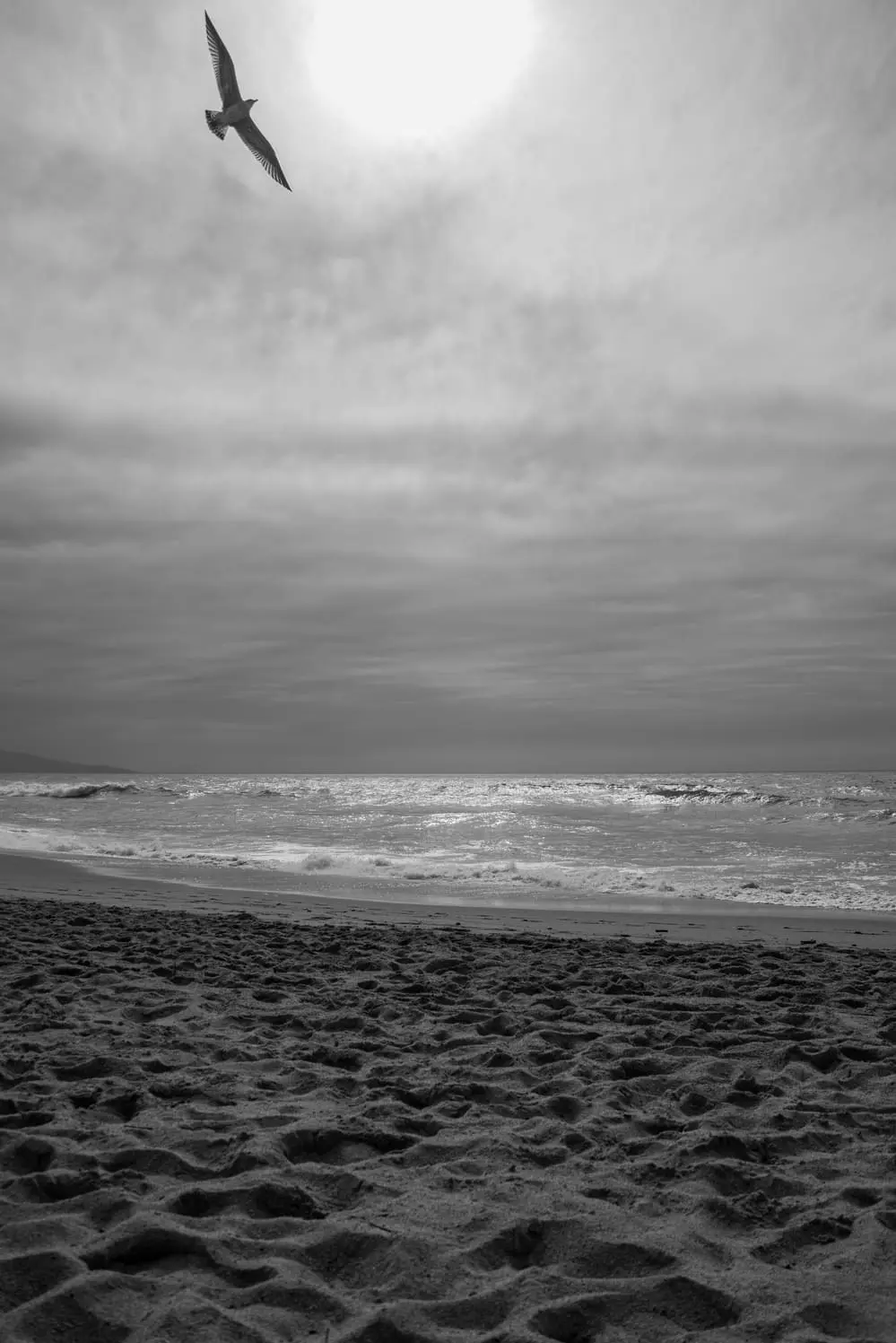 Photo-Pays-Basque-Bidart-04 Stéphane Grimal Photographe découverte Bidart pays Basque.