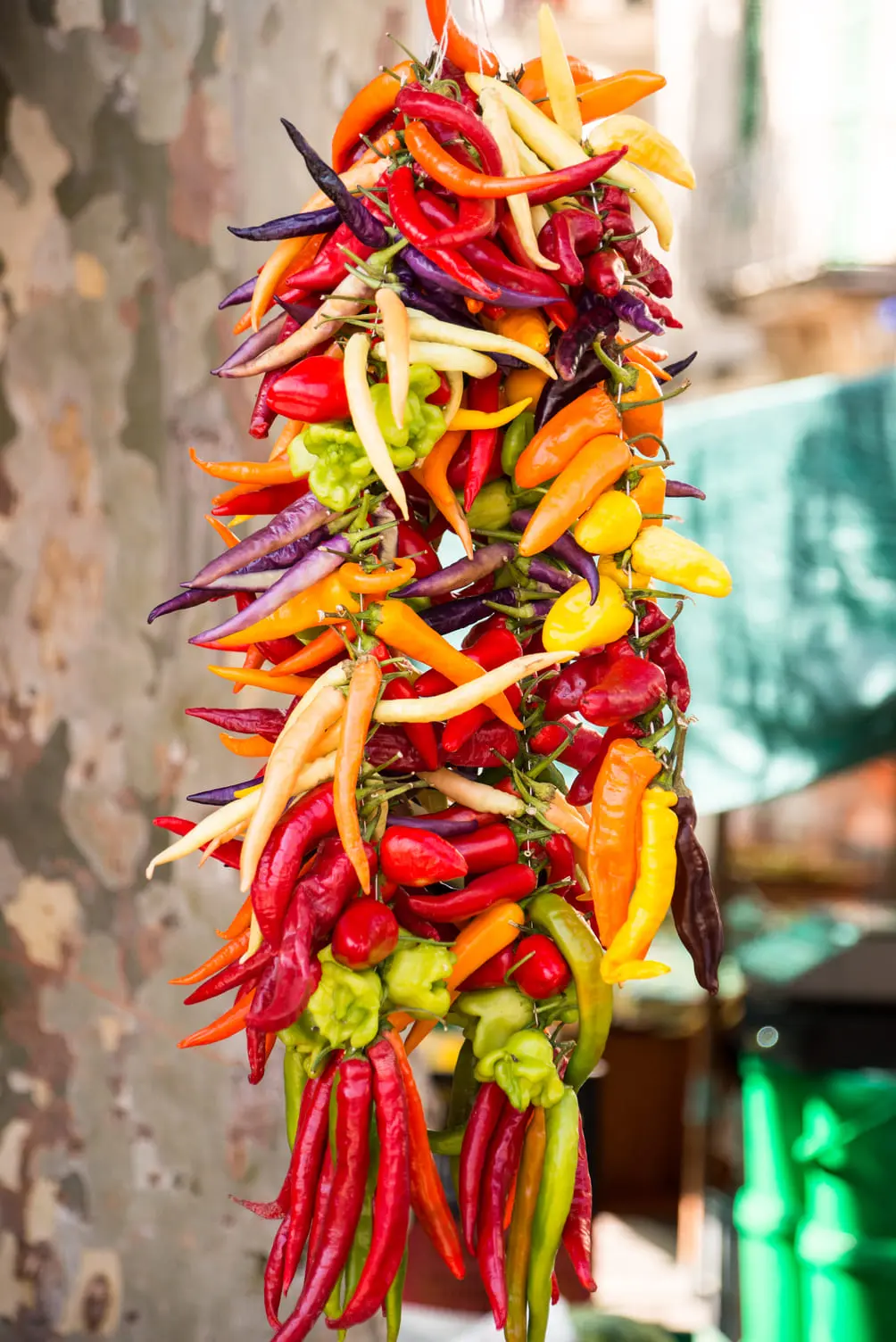 Photo-Paysage-Majorque-05 Stéphane Grimal Photographe voyage à Mallorque