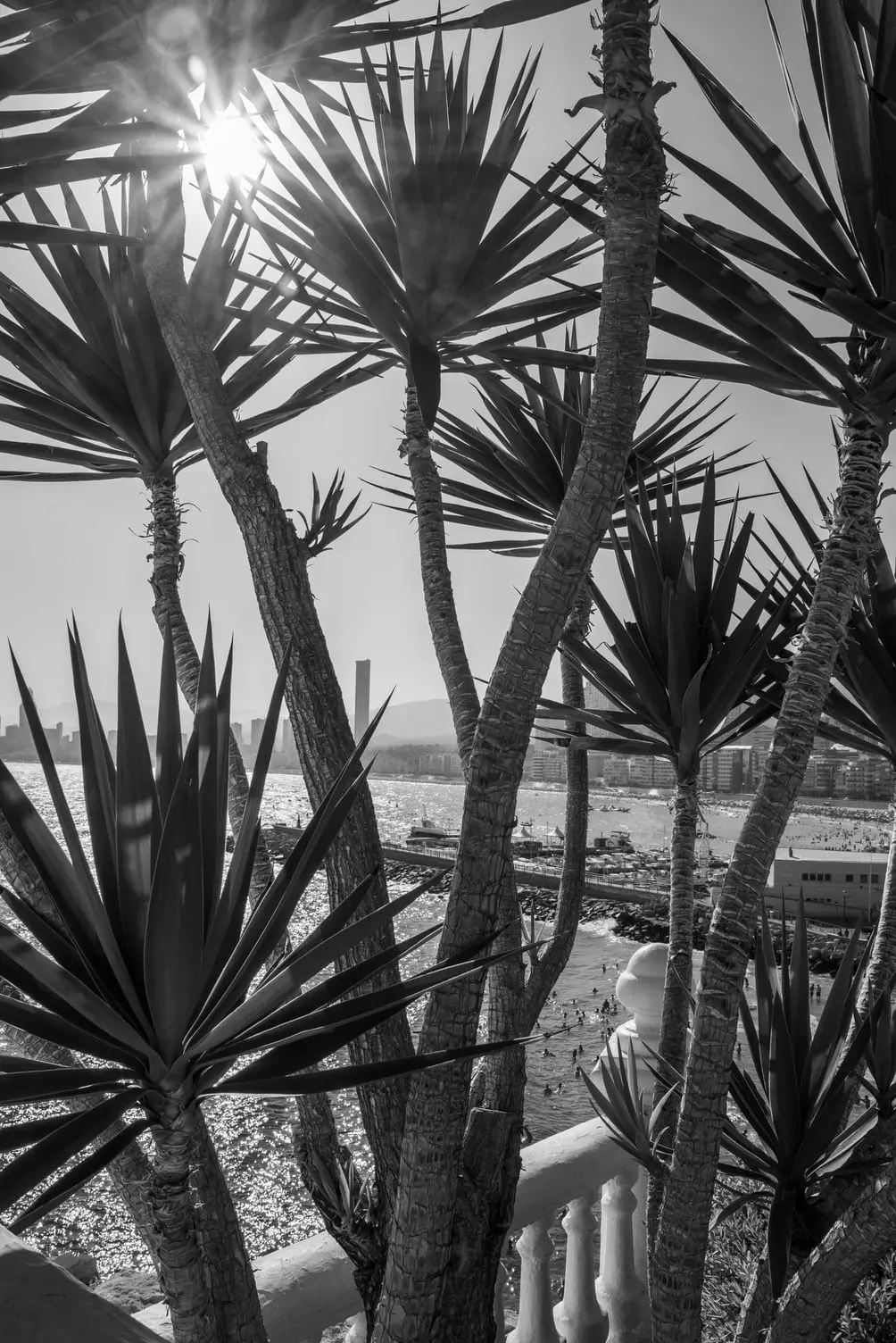 Voyages-Découvertes-Espagne-Benidorm-03 Stéphane Grimal Photographe Découverte Espagne